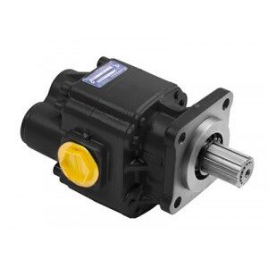 Bomba de engrenagem P30